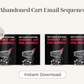 Abandoned Cart Email Sequence