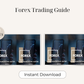 Forex Trading Guide
