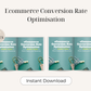 Ecommerce Conversion Rate Optimisation