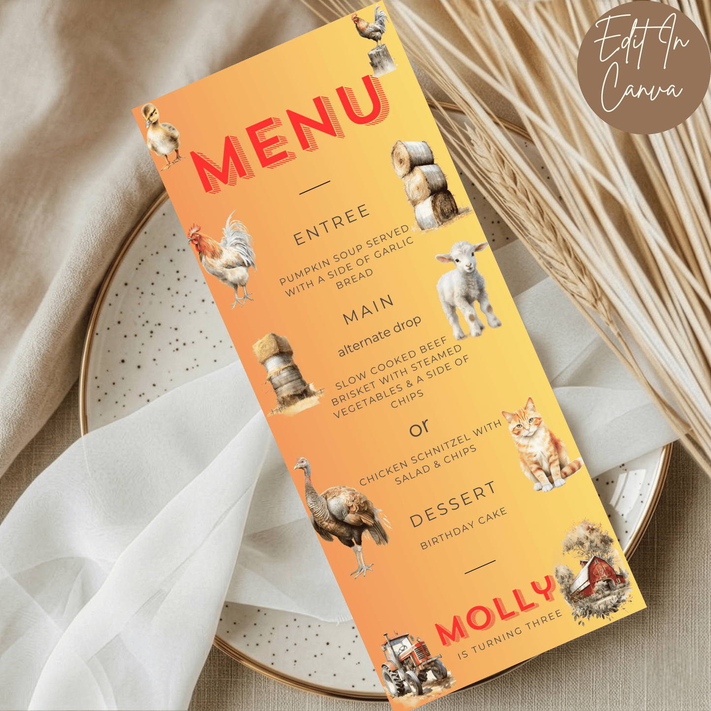3rd Birthday Menu