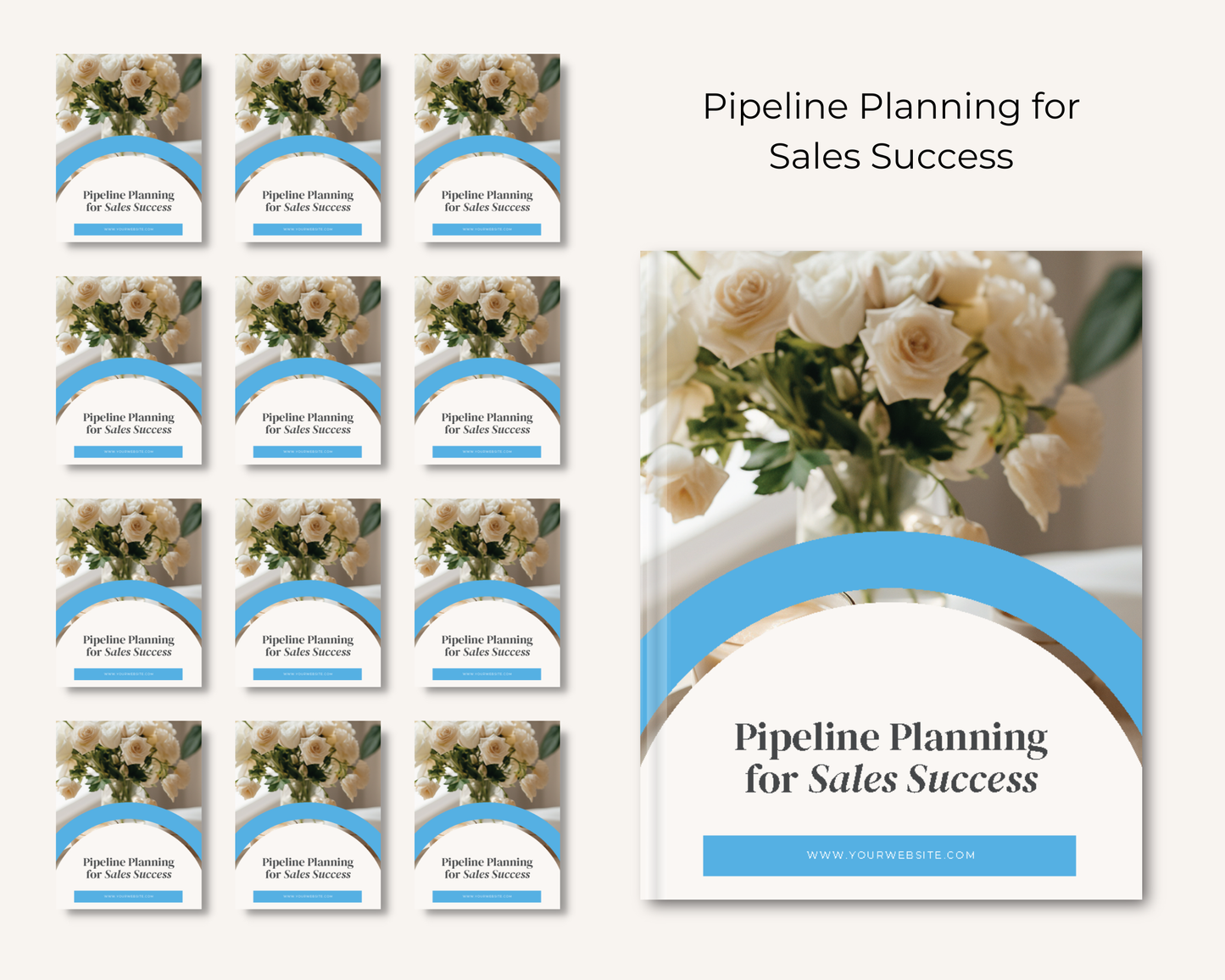 Pipeline Planning for Sales Success