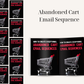 Abandoned Cart Email Sequence