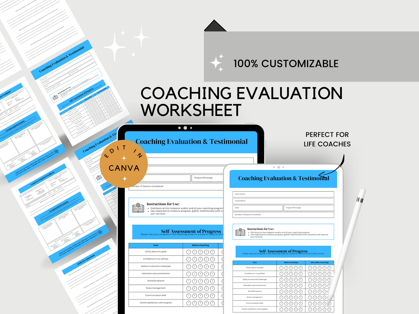 Coaching Evaluation Template
