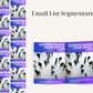 Email List Segmentation