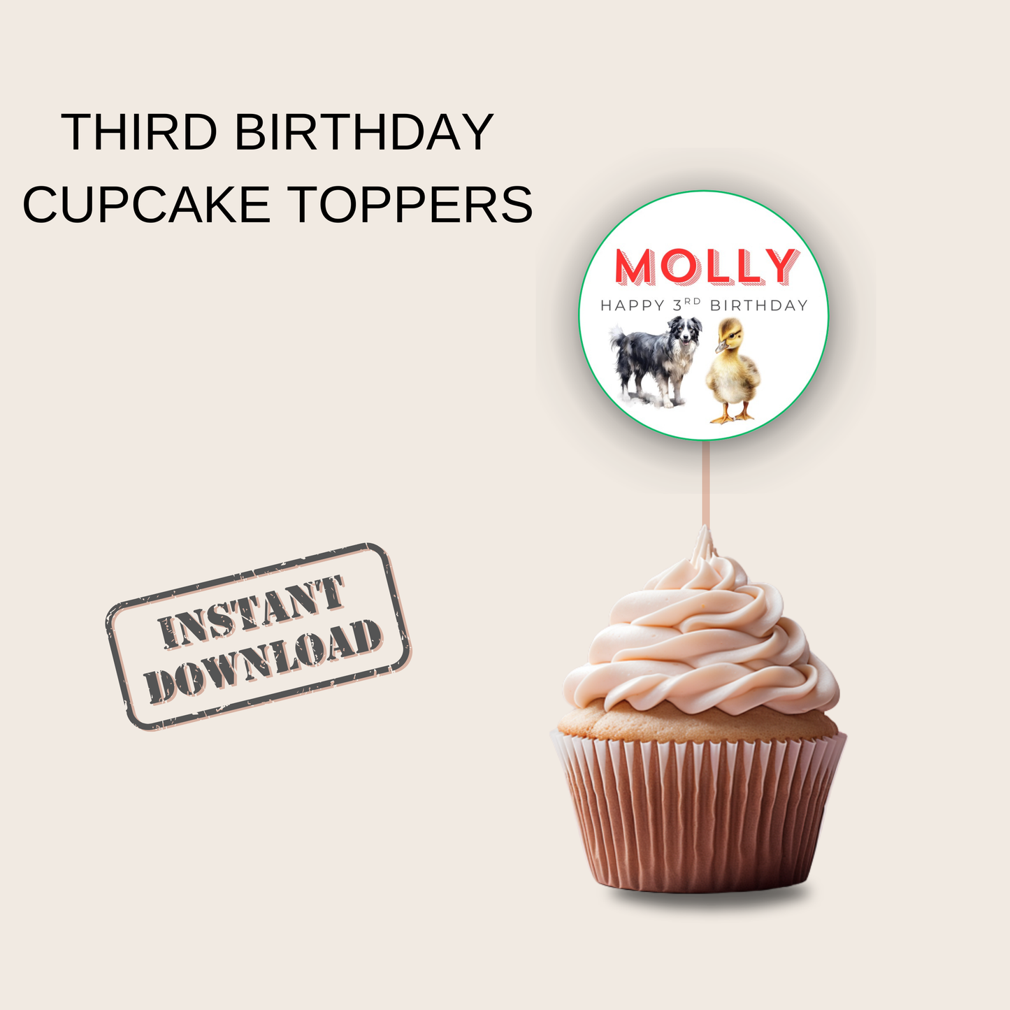 3rd Birthday Cupcake Toppers Girl