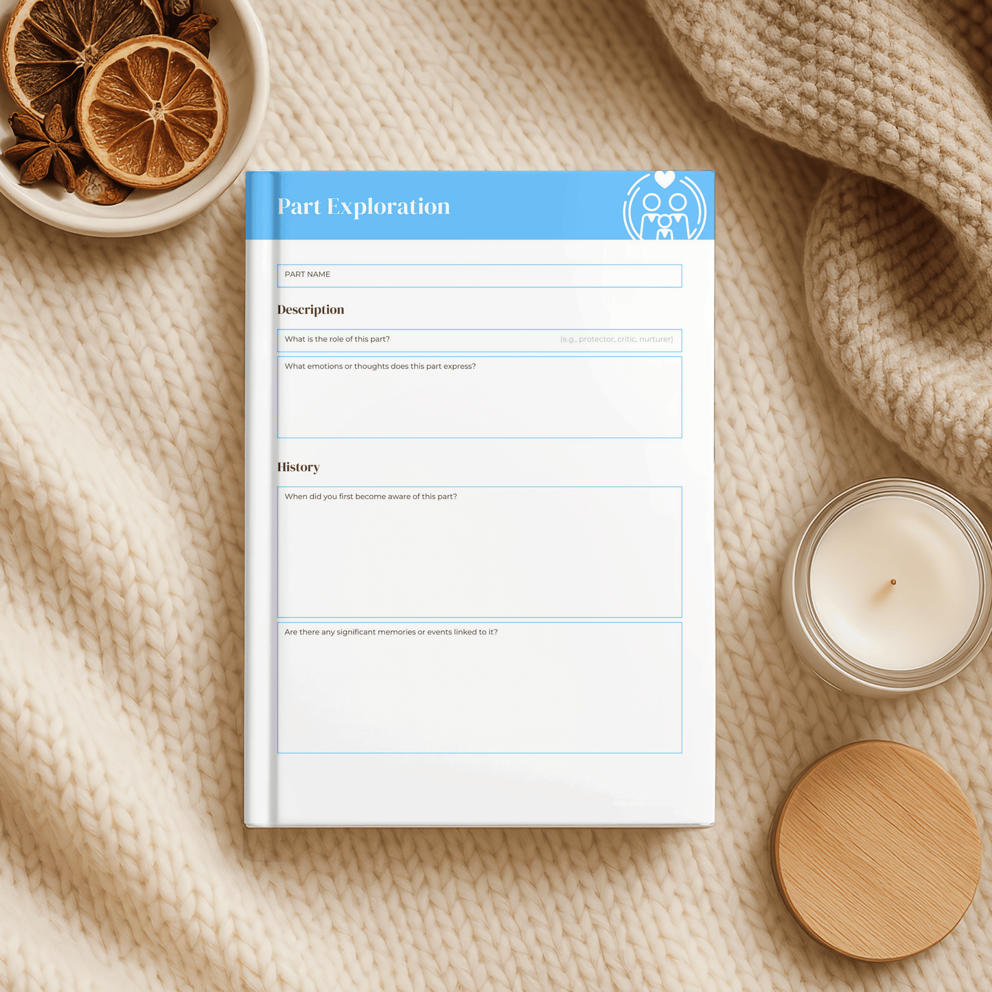 Internal Family Systems Journal