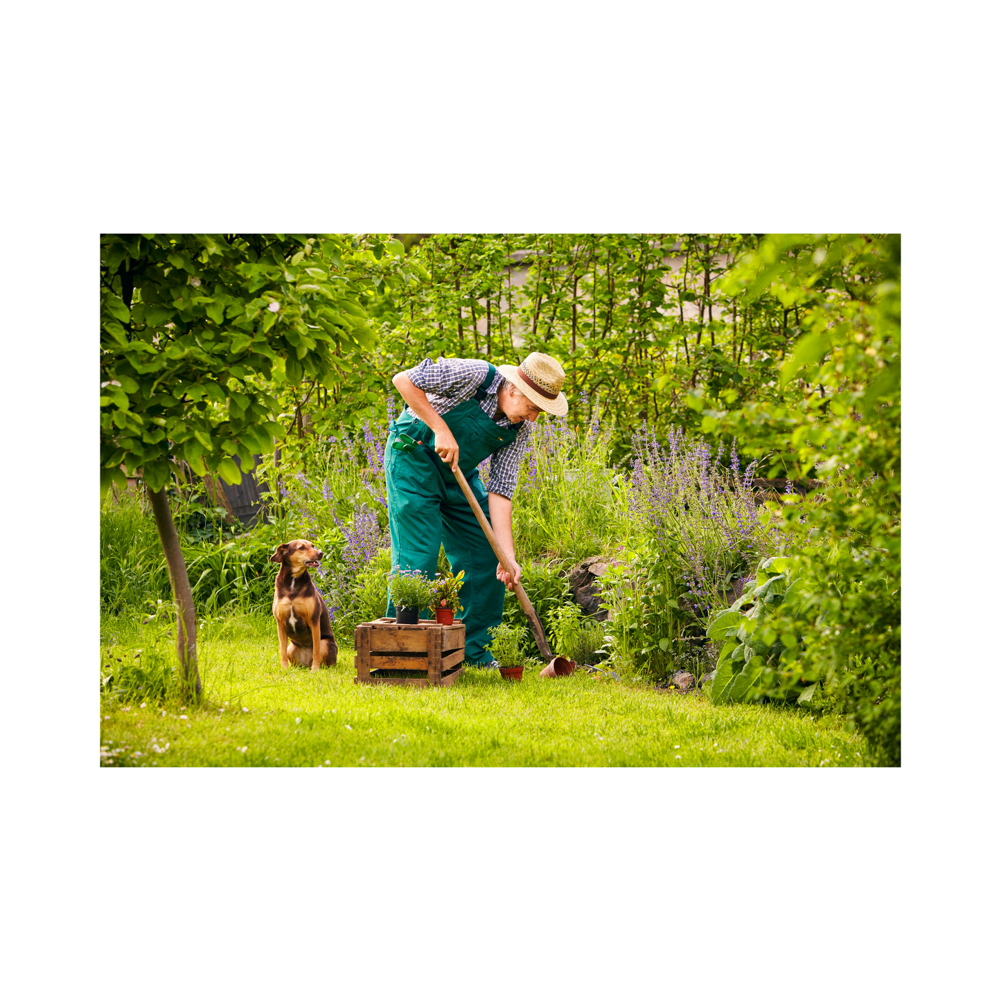 The Gardeners Checklist