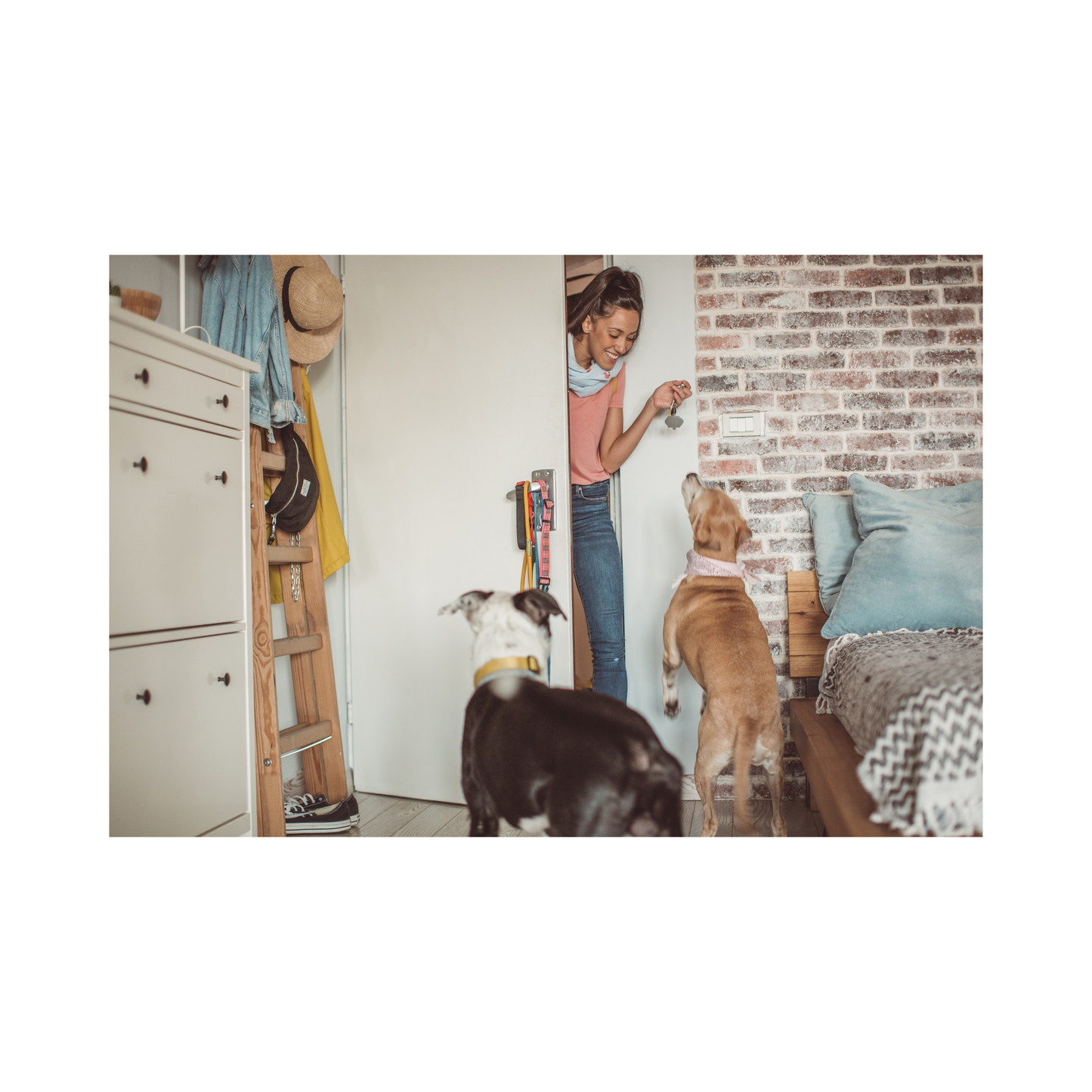 Pet Sitter Checklists