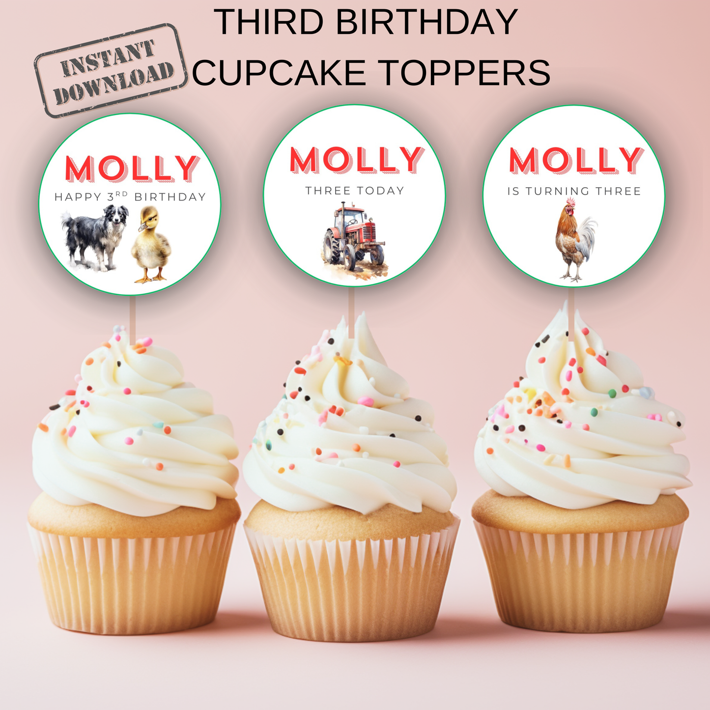 3rd Birthday Cupcake Toppers Girl