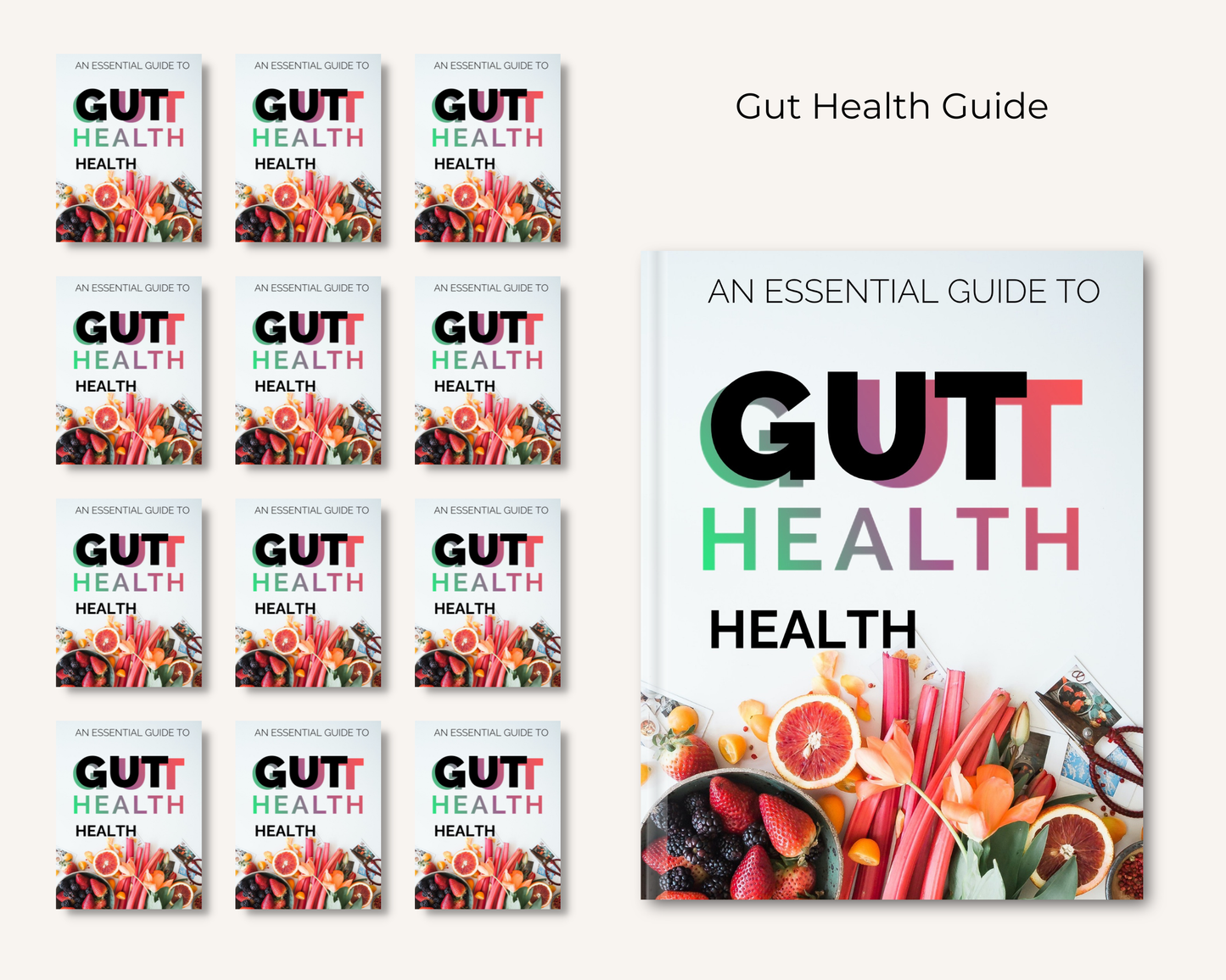 Gut Health Guide