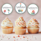 1st Birthday Cupcake Toppers Girl