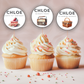 70th Birthday Cupcake Toppers Girl