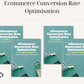 Ecommerce Conversion Rate Optimisation