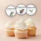 8th Birthday Cupcake Toppers Boy