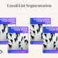 Email List Segmentation