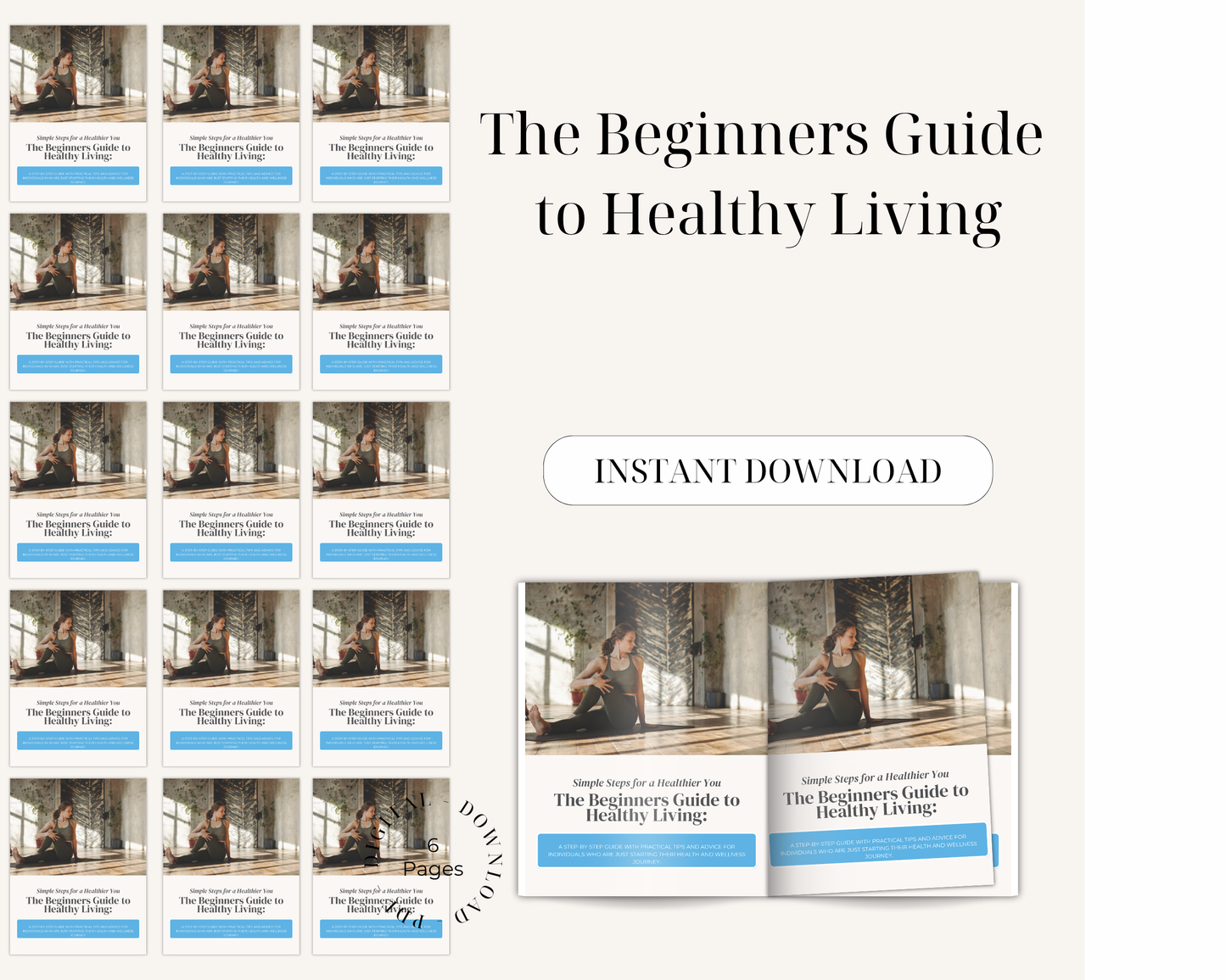 The Beginners Guide to Healthy Living