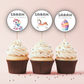 6th Birthday Party Cupcake Toppers Girl