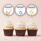 Bar Mitzvah Cupcake Toppers
