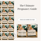 The Ultimate Pregnancy Guide