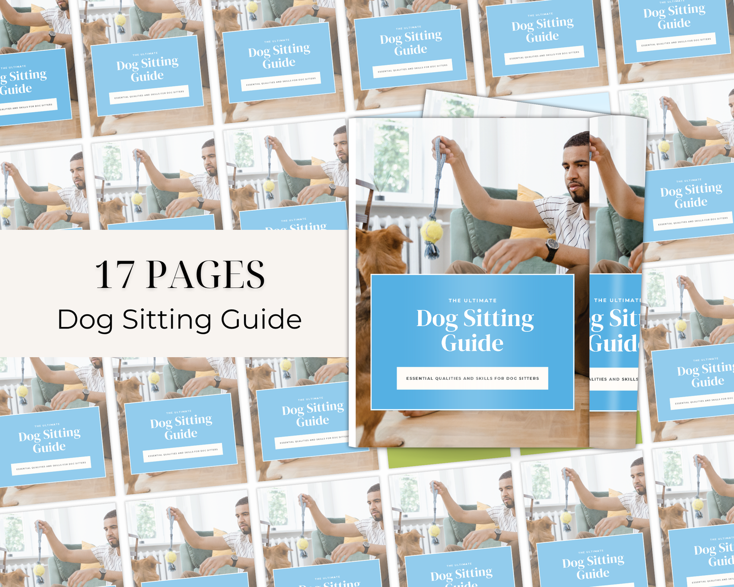 Dog Sitting Guide