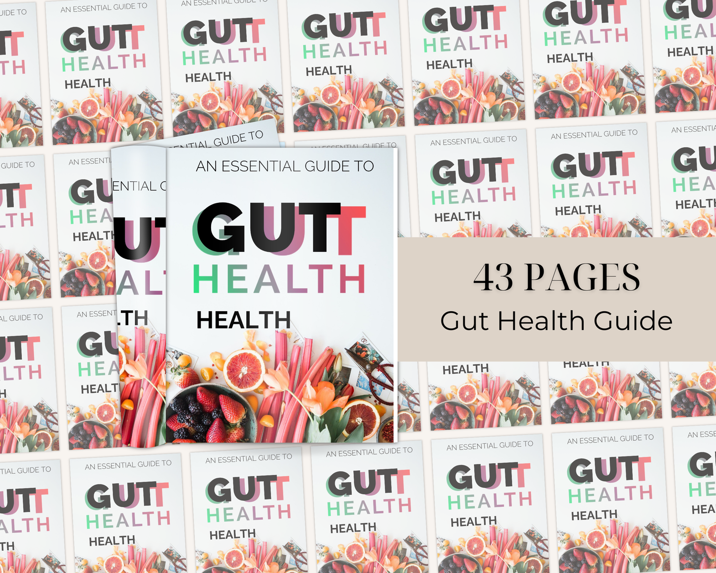 Gut Health Guide