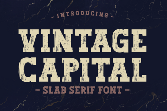 Vintage Capital